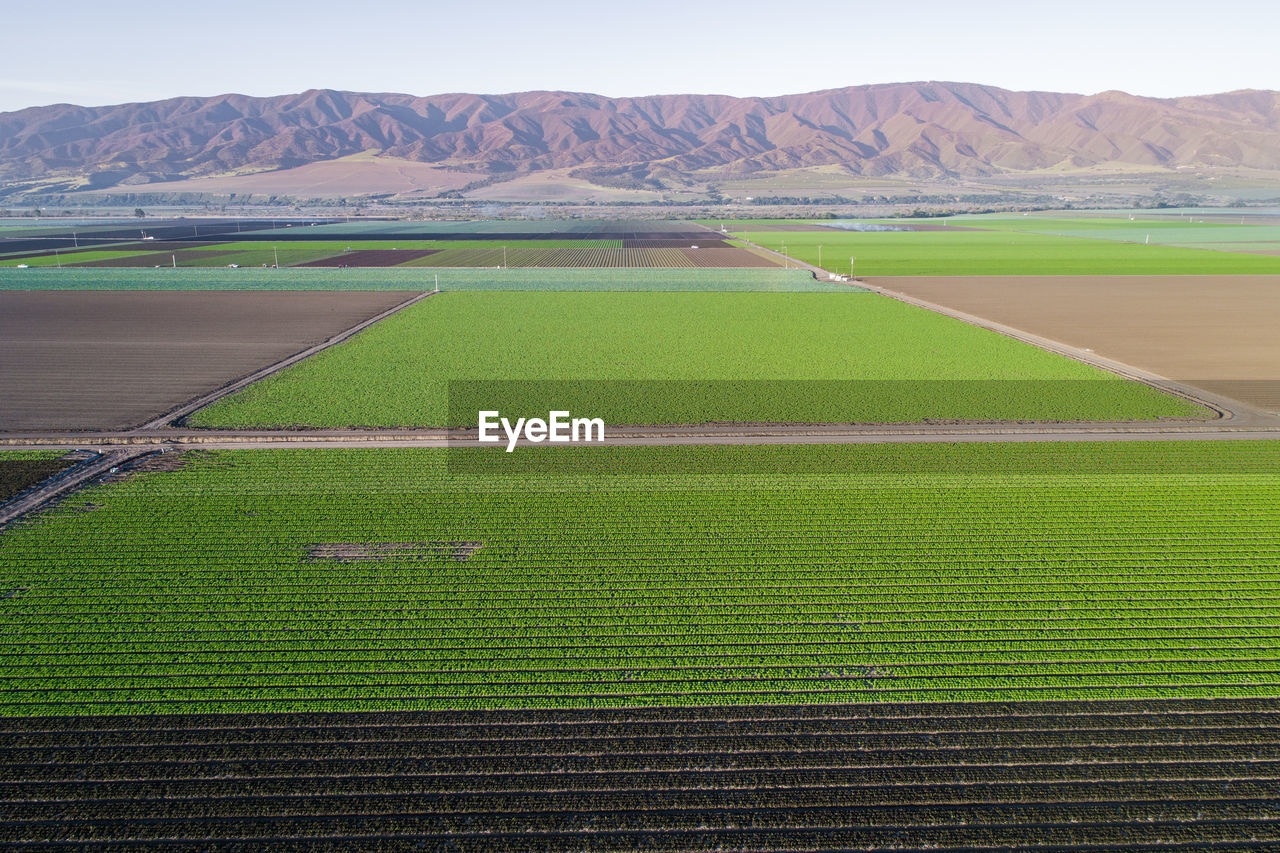 Aerial view of agricultural fields in california, united states. salinas valley
