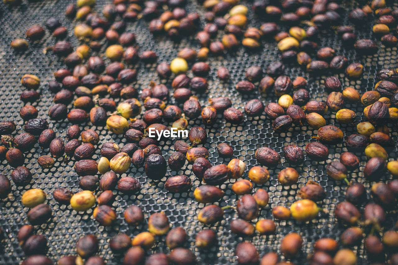 Full frame shot of peanuts on metal