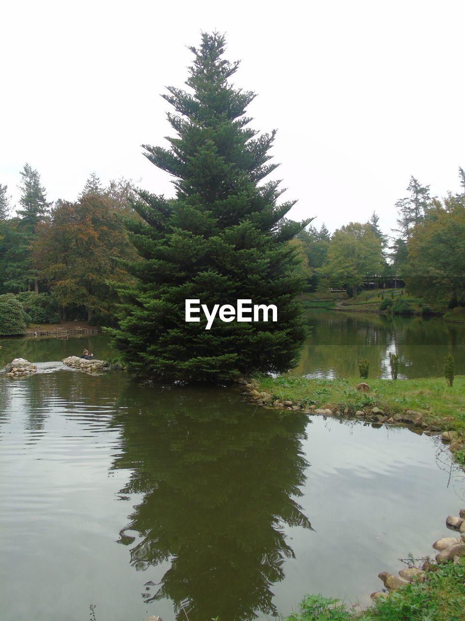 SCENIC VIEW OF LAKE BY TREES AGAINST SKY