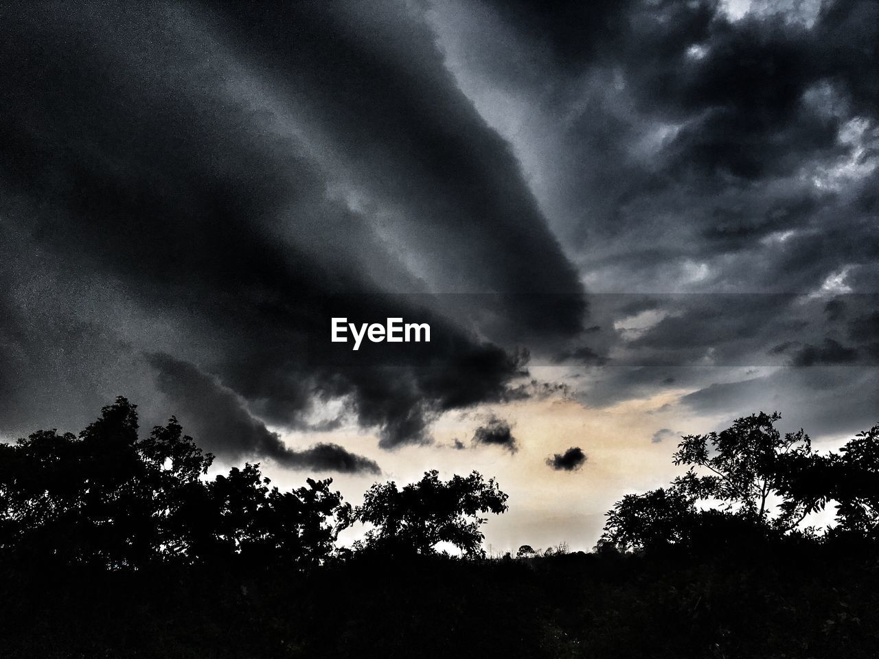 Silhouette of trees against cloudy sky