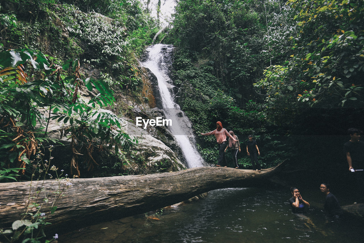 WATERFALL IN FOREST