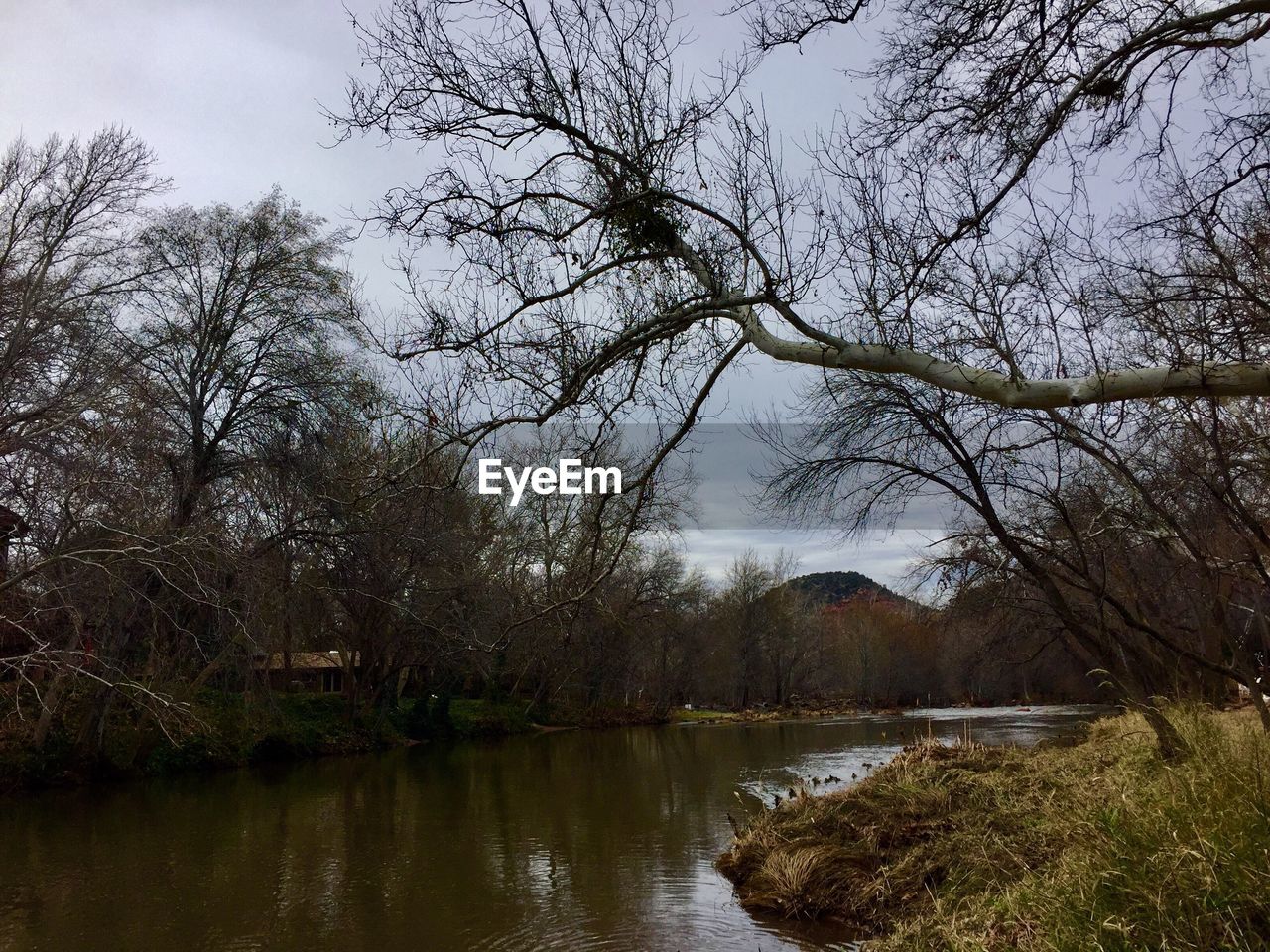 LAKE BY TREES AGAINST SKY