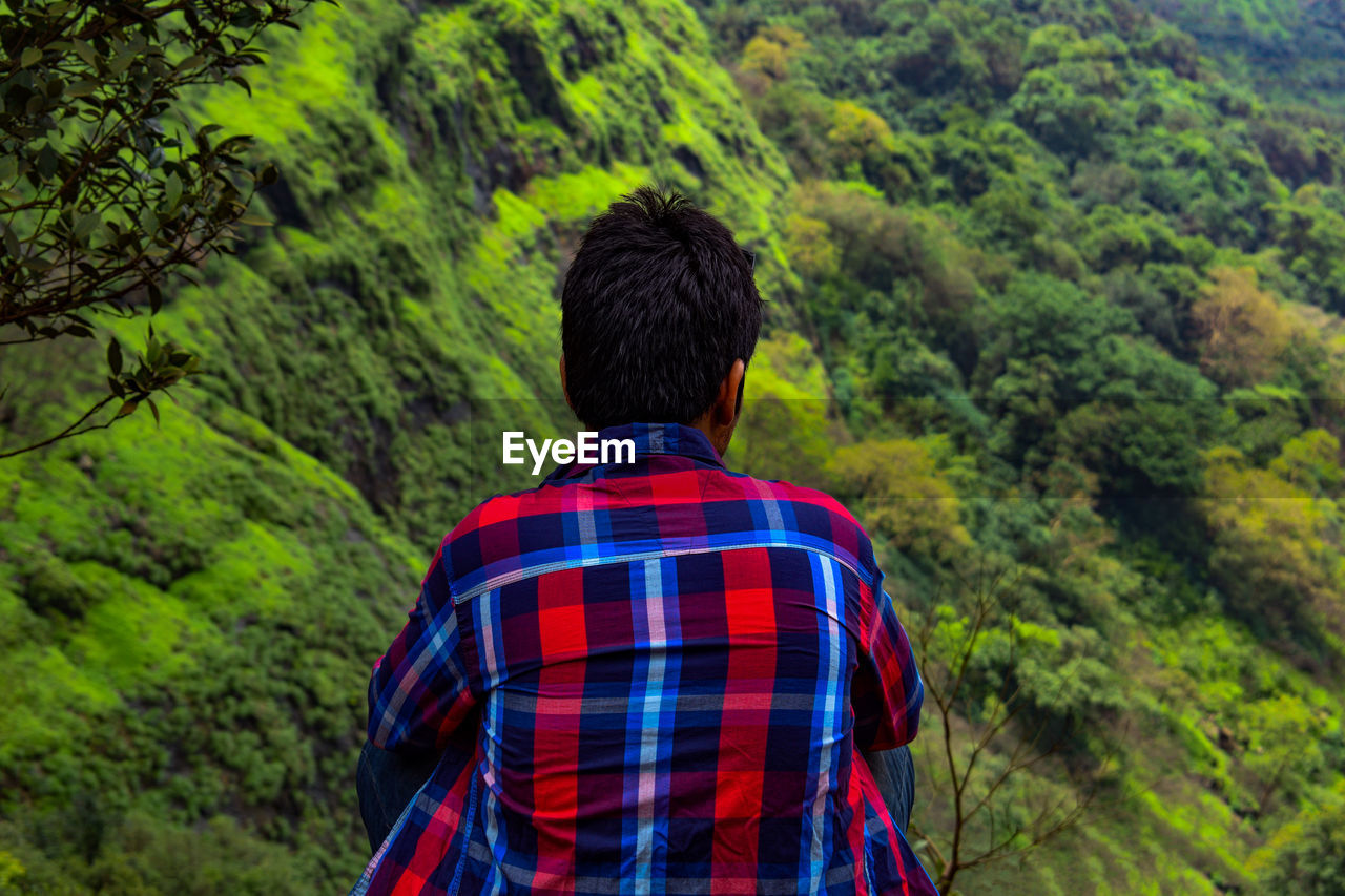 Rear view of man against trees in forest