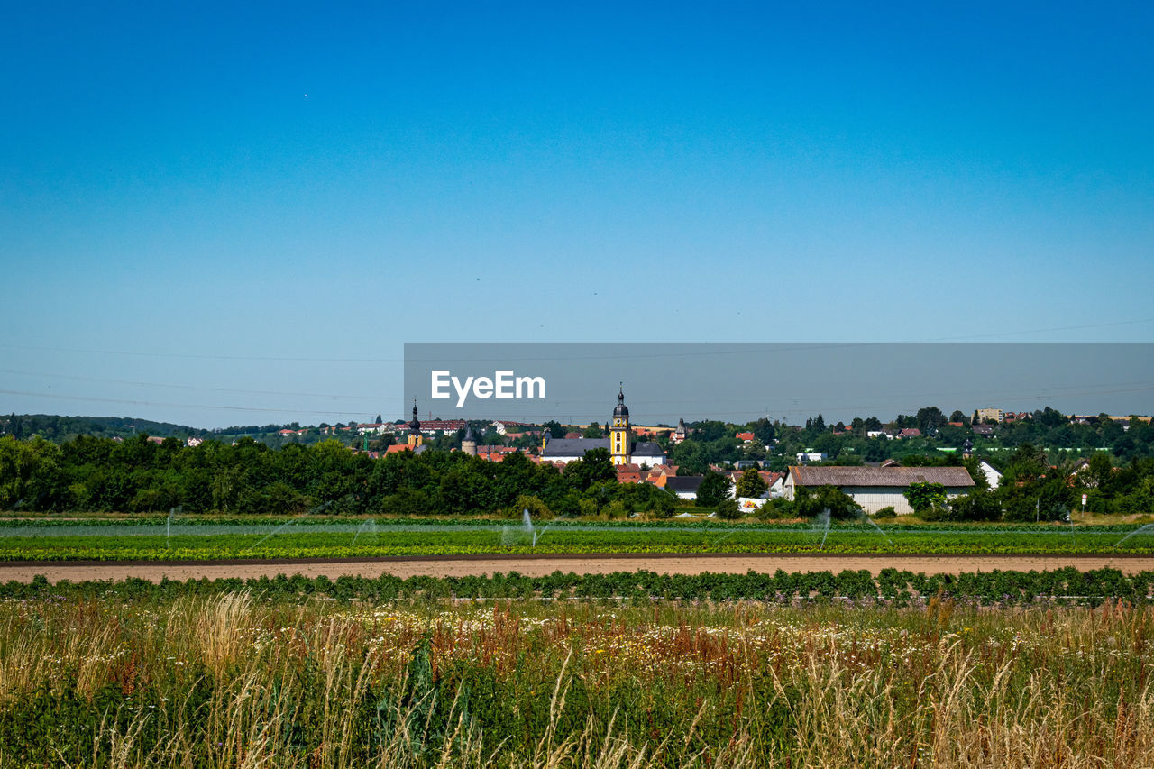 Scenic view of agricultural field against clear sky