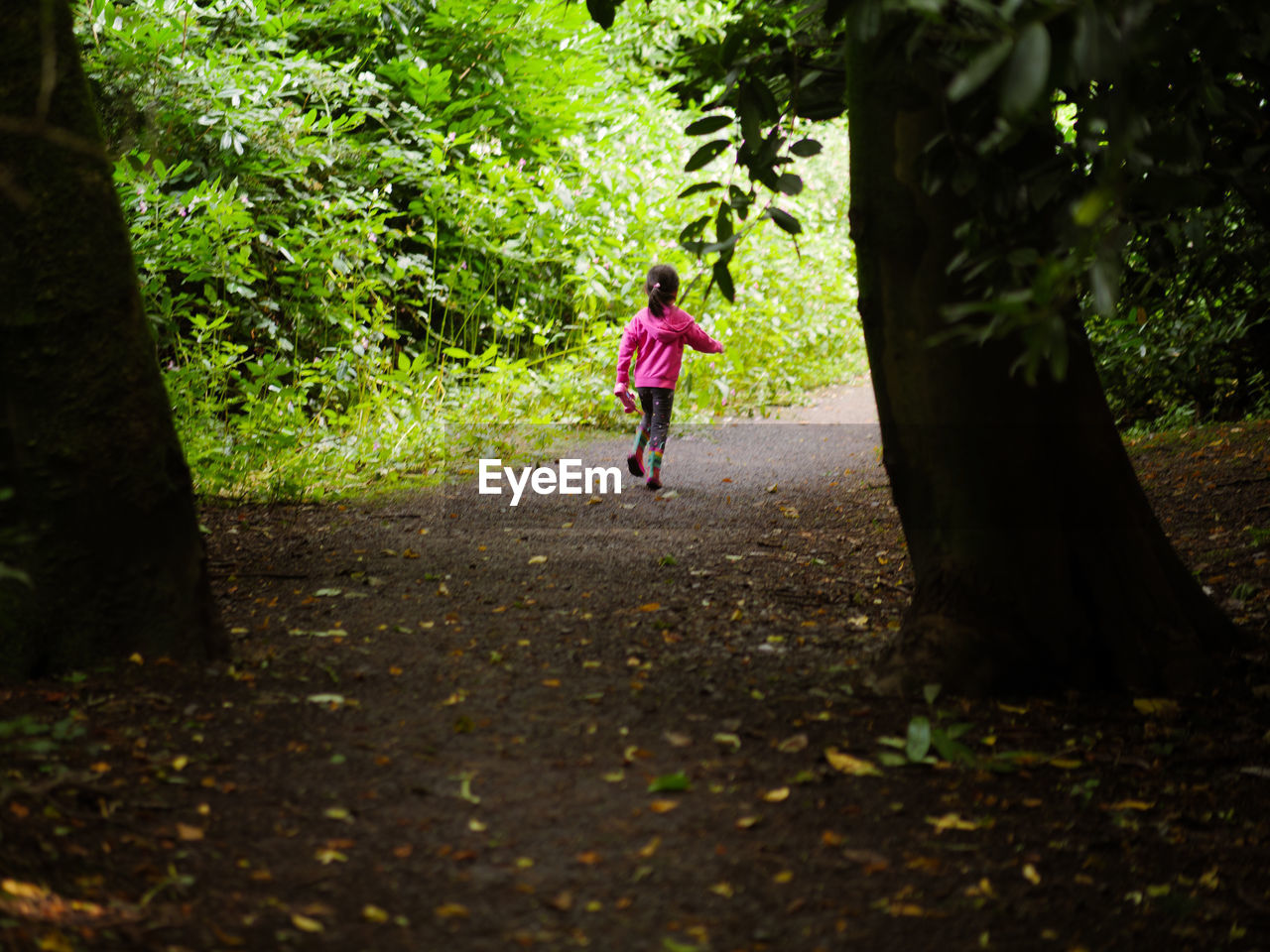 Rear view of girl walking on footpath amidst trees