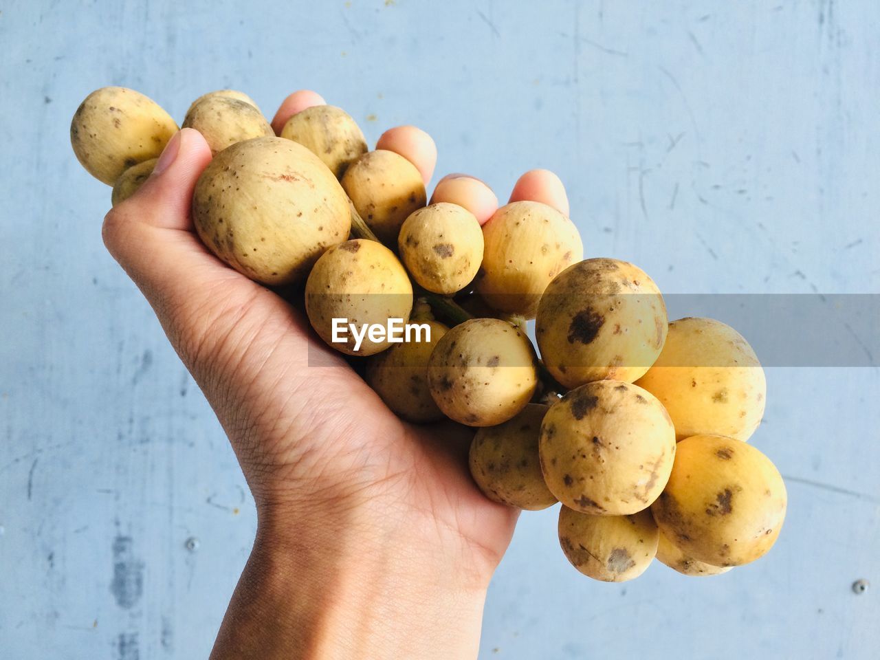 CROPPED IMAGE OF HAND HOLDING FRUITS