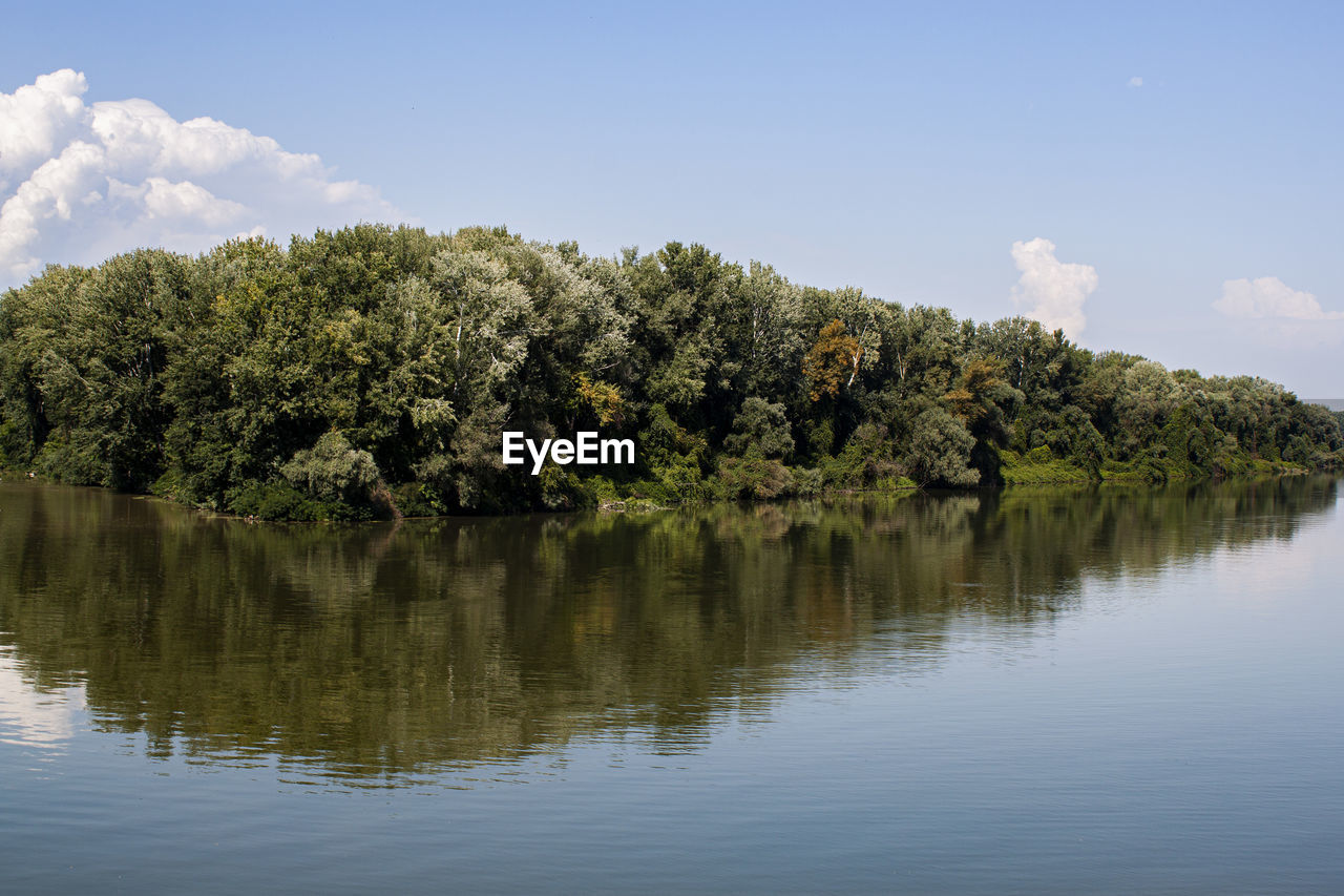 SCENIC VIEW OF LAKE AND TREES AGAINST SKY