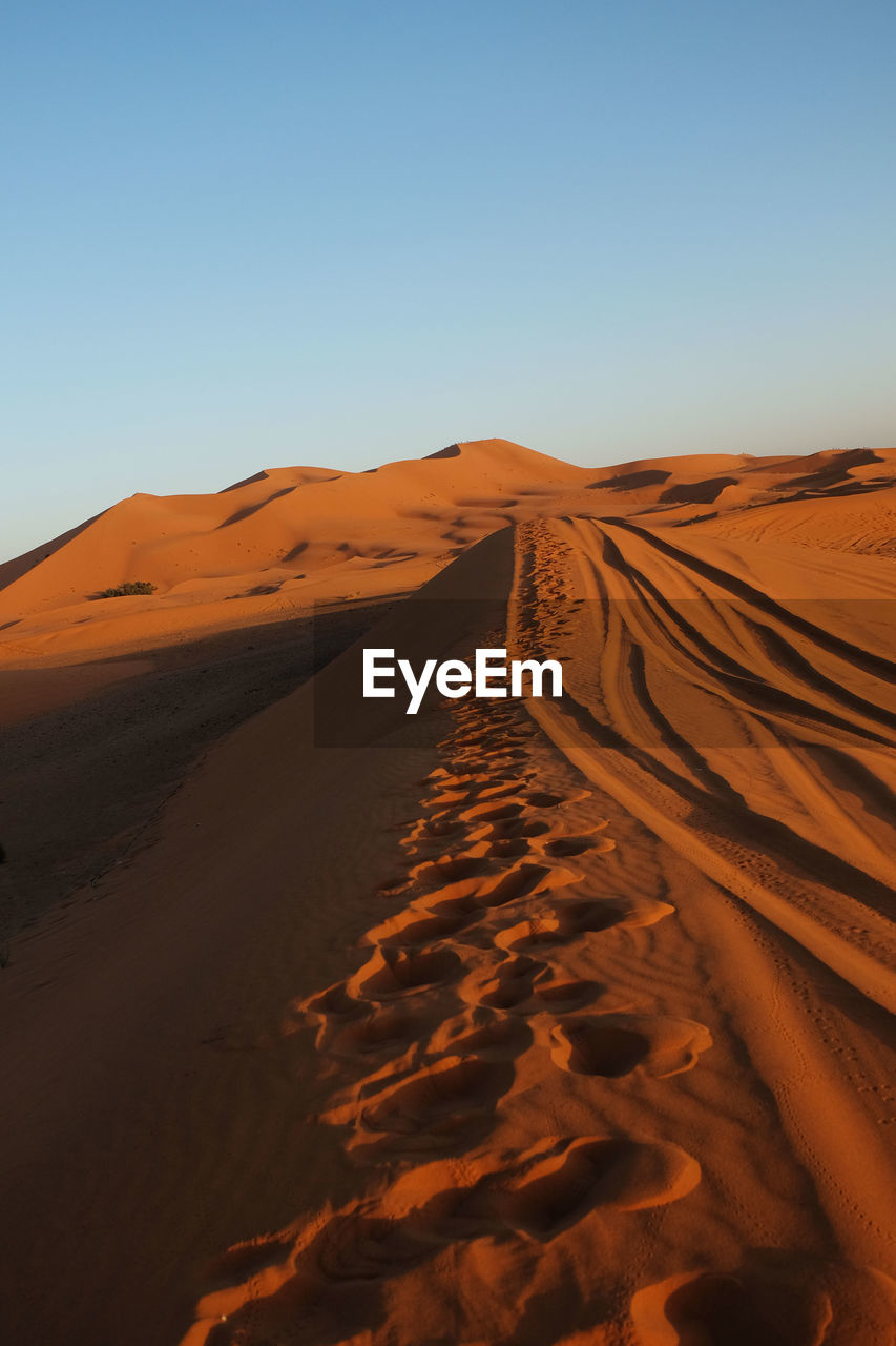 Tracks on the sand