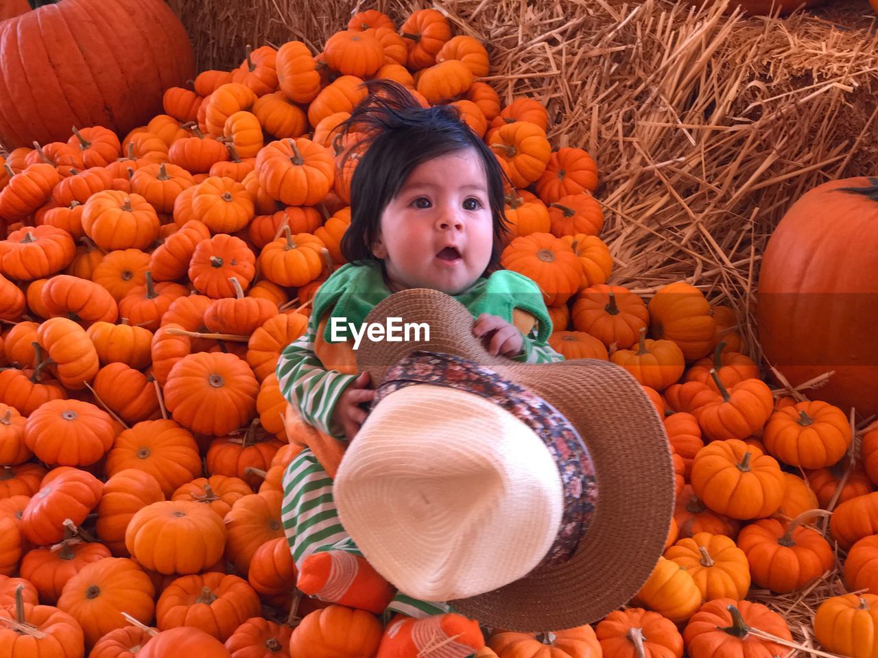 High angle view of cute baby girl sitting on pumpkins