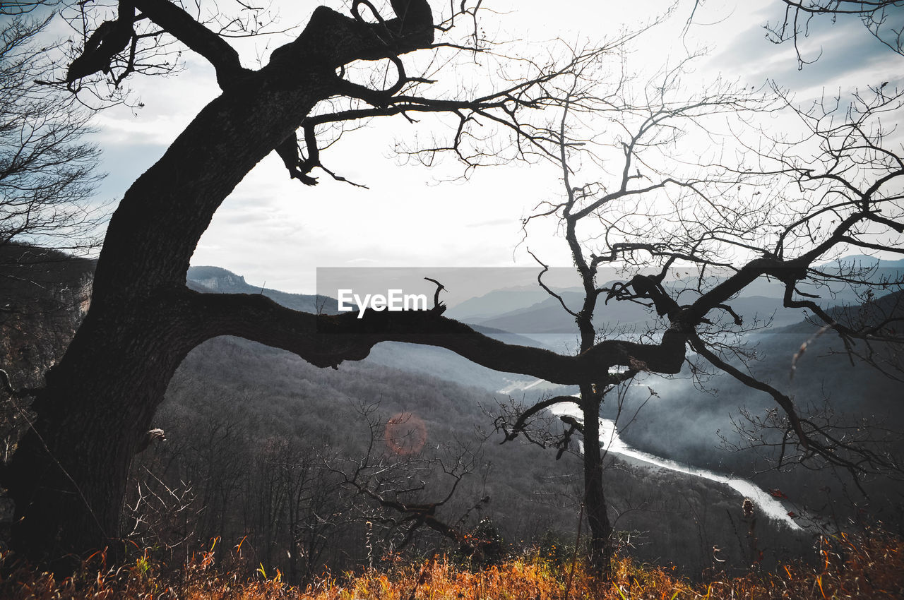 Autumn mountain peaks view from the forest