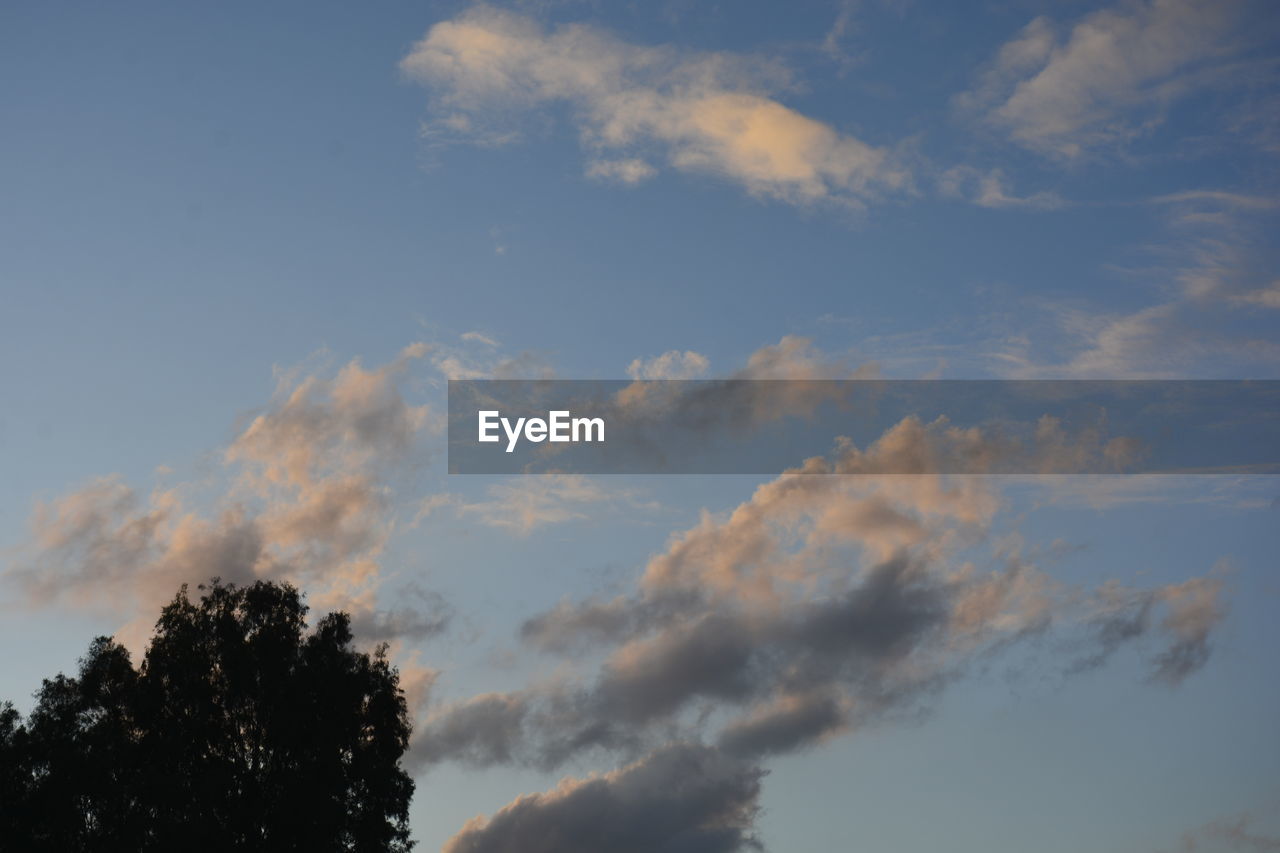 sky, cloud, tree, plant, nature, beauty in nature, no people, low angle view, dusk, tranquility, sunlight, outdoors, scenics - nature, environment, silhouette, morning, tranquil scene, blue, day, growth