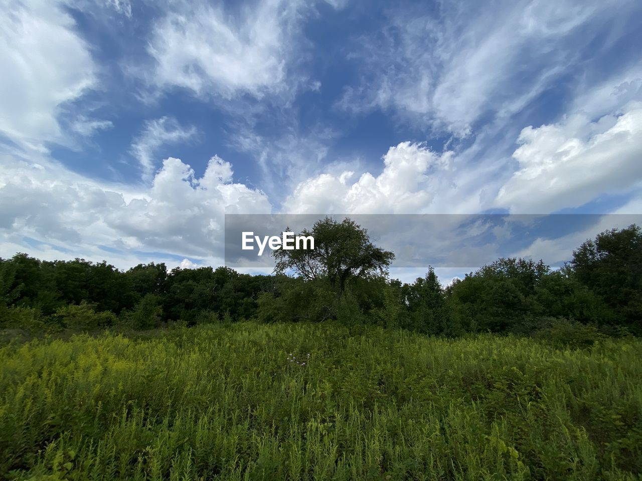 SCENIC VIEW OF LAND AGAINST SKY