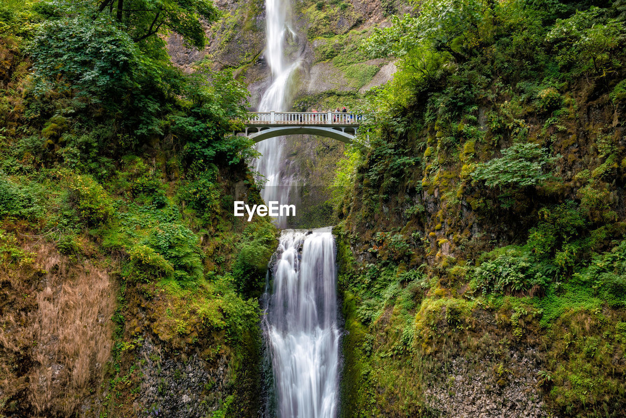 waterfall, water, scenics - nature, beauty in nature, motion, long exposure, plant, tree, flowing water, nature, body of water, forest, blurred motion, land, water feature, rock, flowing, environment, no people, non-urban scene, splashing, power in nature, green, day, growth, outdoors, rainforest, river, watercourse, speed, rock formation, stream, travel destinations, foliage, lush foliage, idyllic, tourism, travel, falling water, ravine, water sports, autumn, tranquil scene, sports
