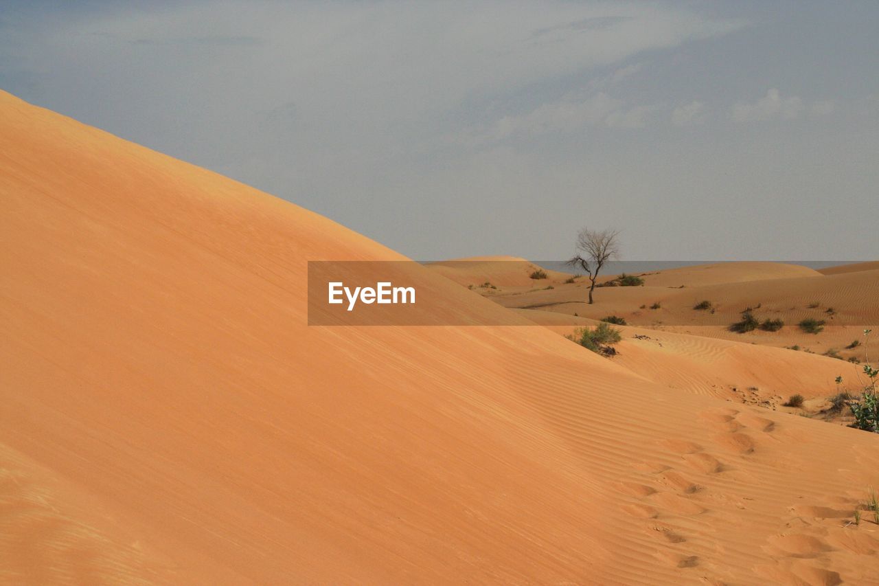 Scenic view of desert against sky