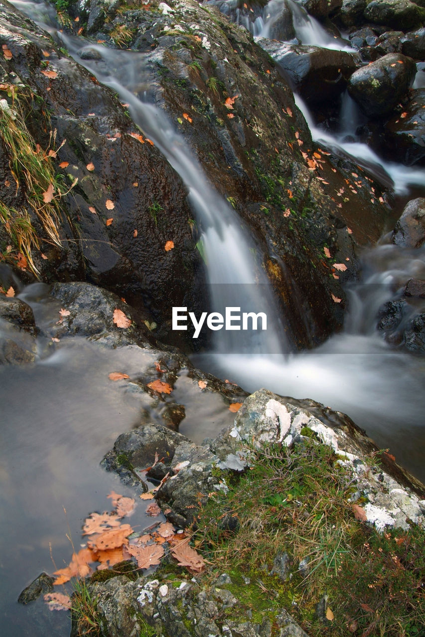 Water falling amidst rocks in forest