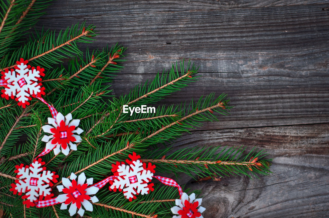 Full frame shot of red flowering plant