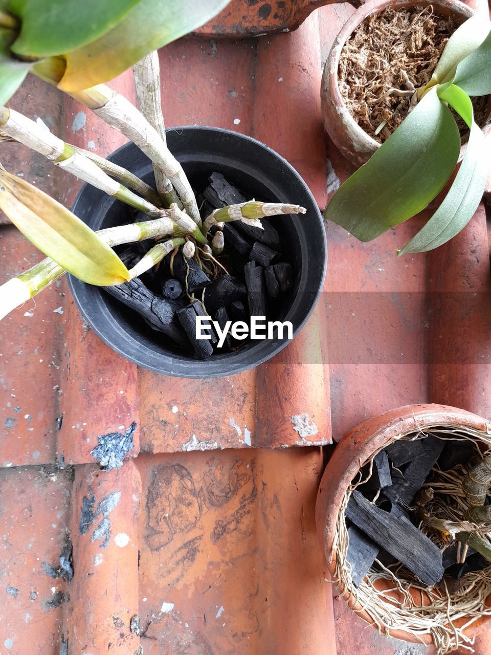 HIGH ANGLE VIEW OF POTTED PLANT ON METAL CONTAINER