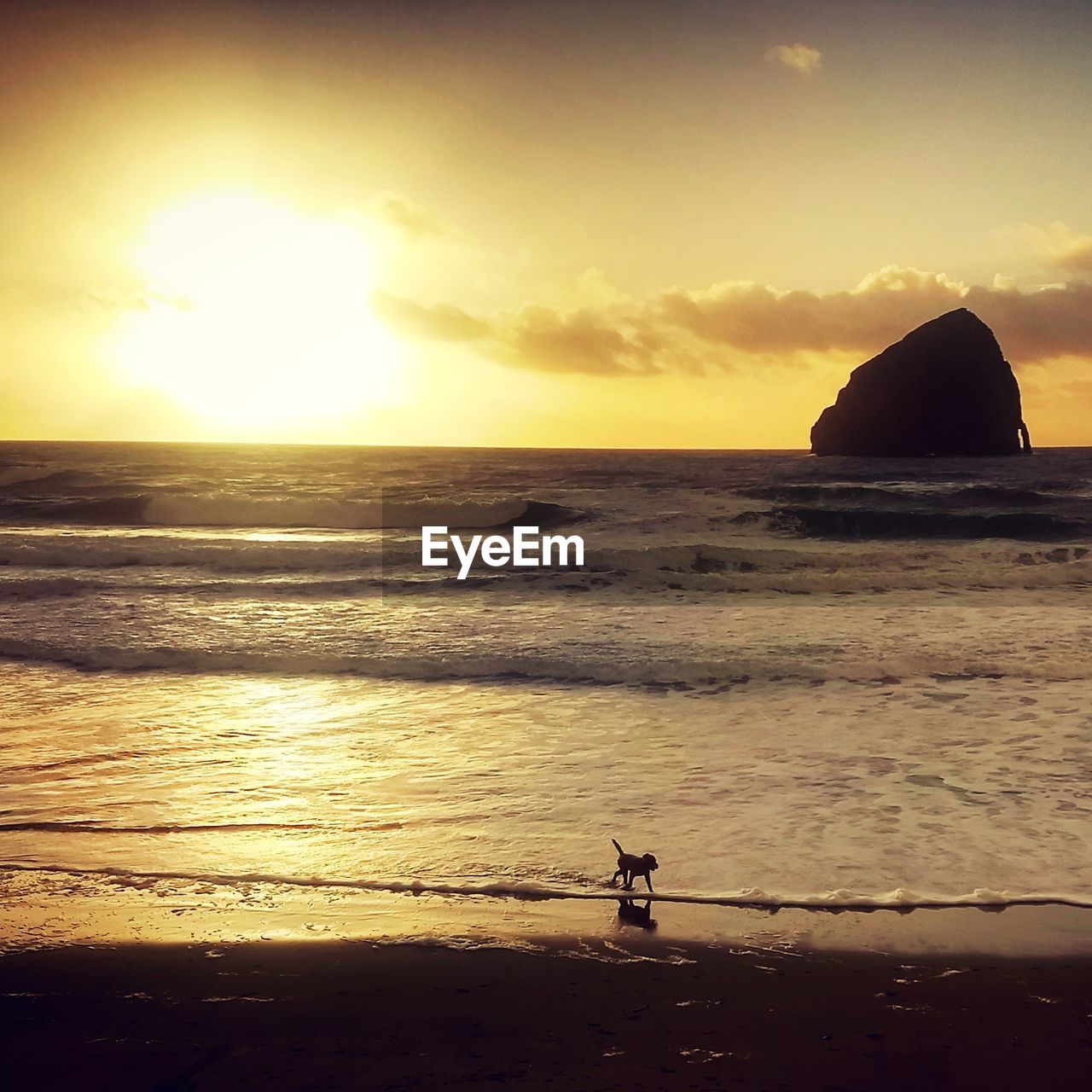 Silhouette rocks on beach against sky during sunset