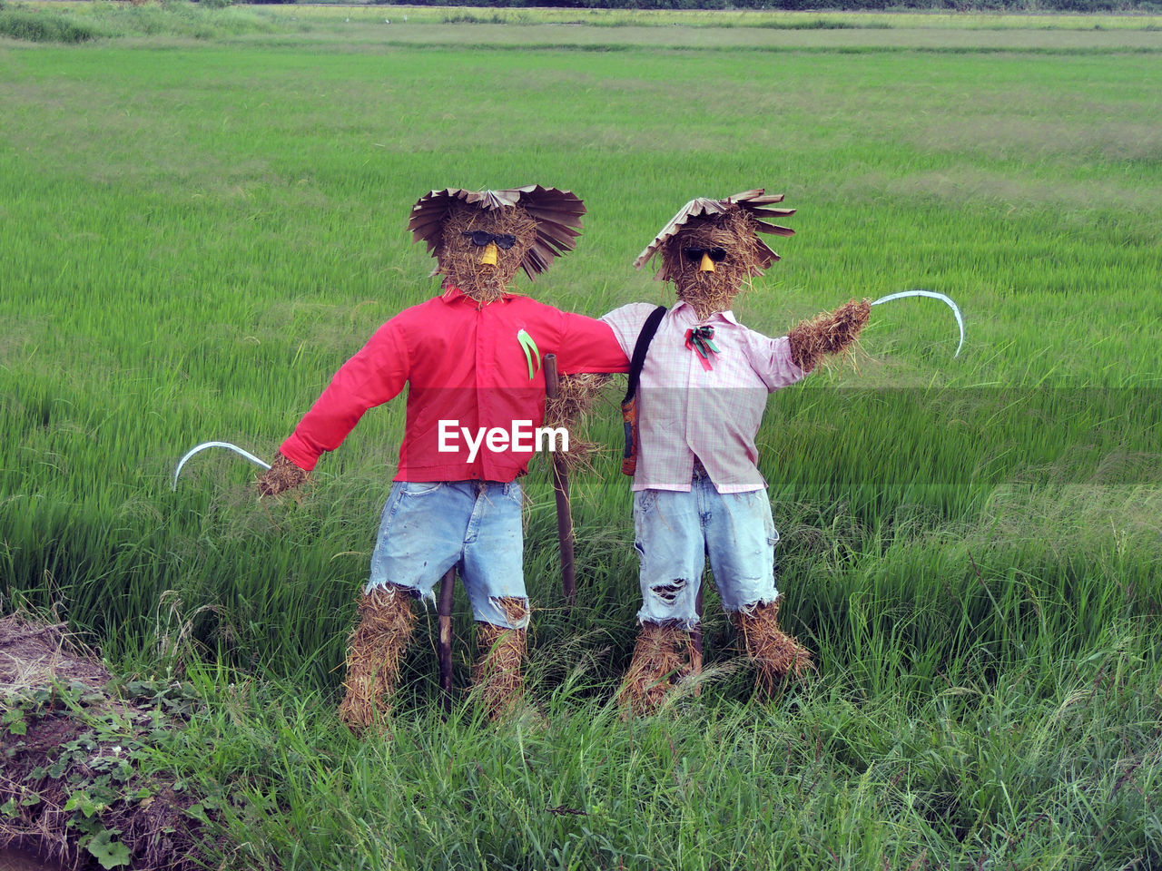 View of scarecrows on agriculture field