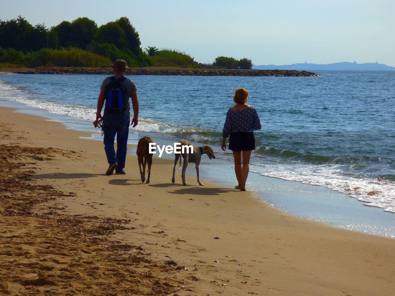 Couple walking with greyhound dogs at shore