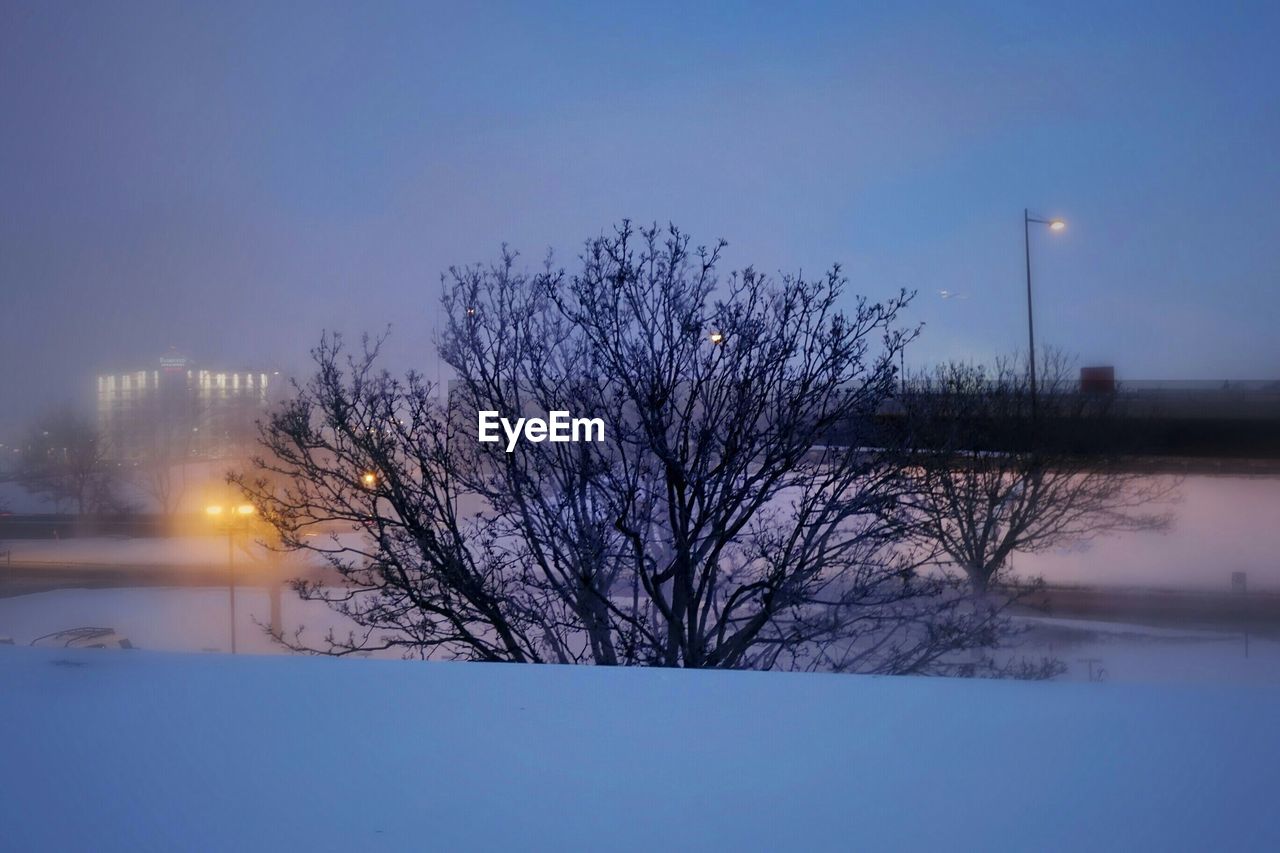 BARE TREES ON SNOW COVERED LANDSCAPE AGAINST SKY