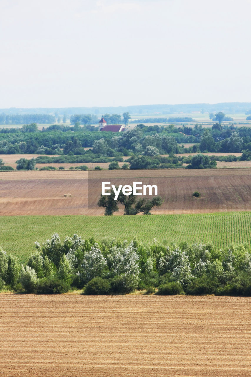 Scenic view of field against clear sky