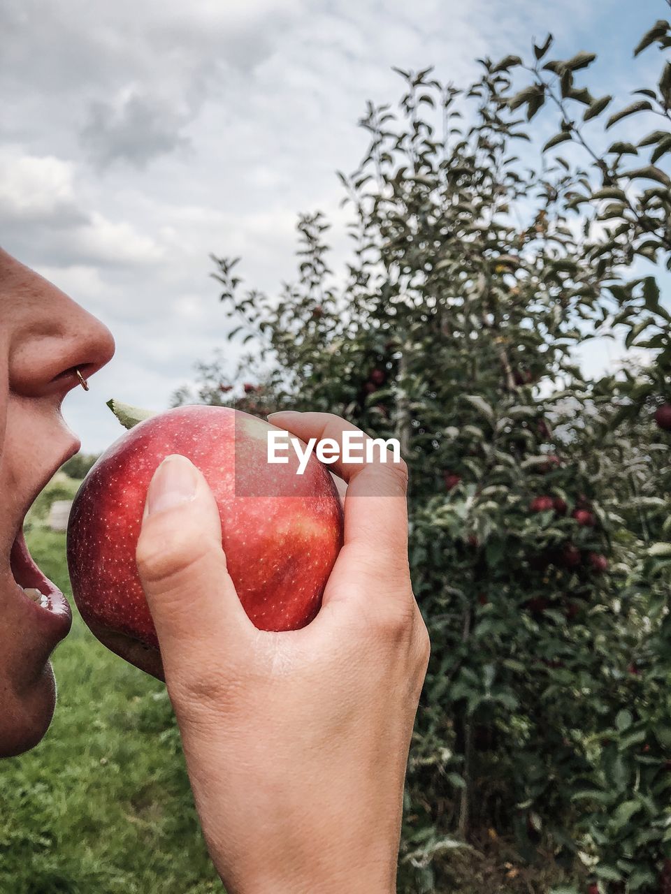 Cropped image of woman eating apple at orchard
