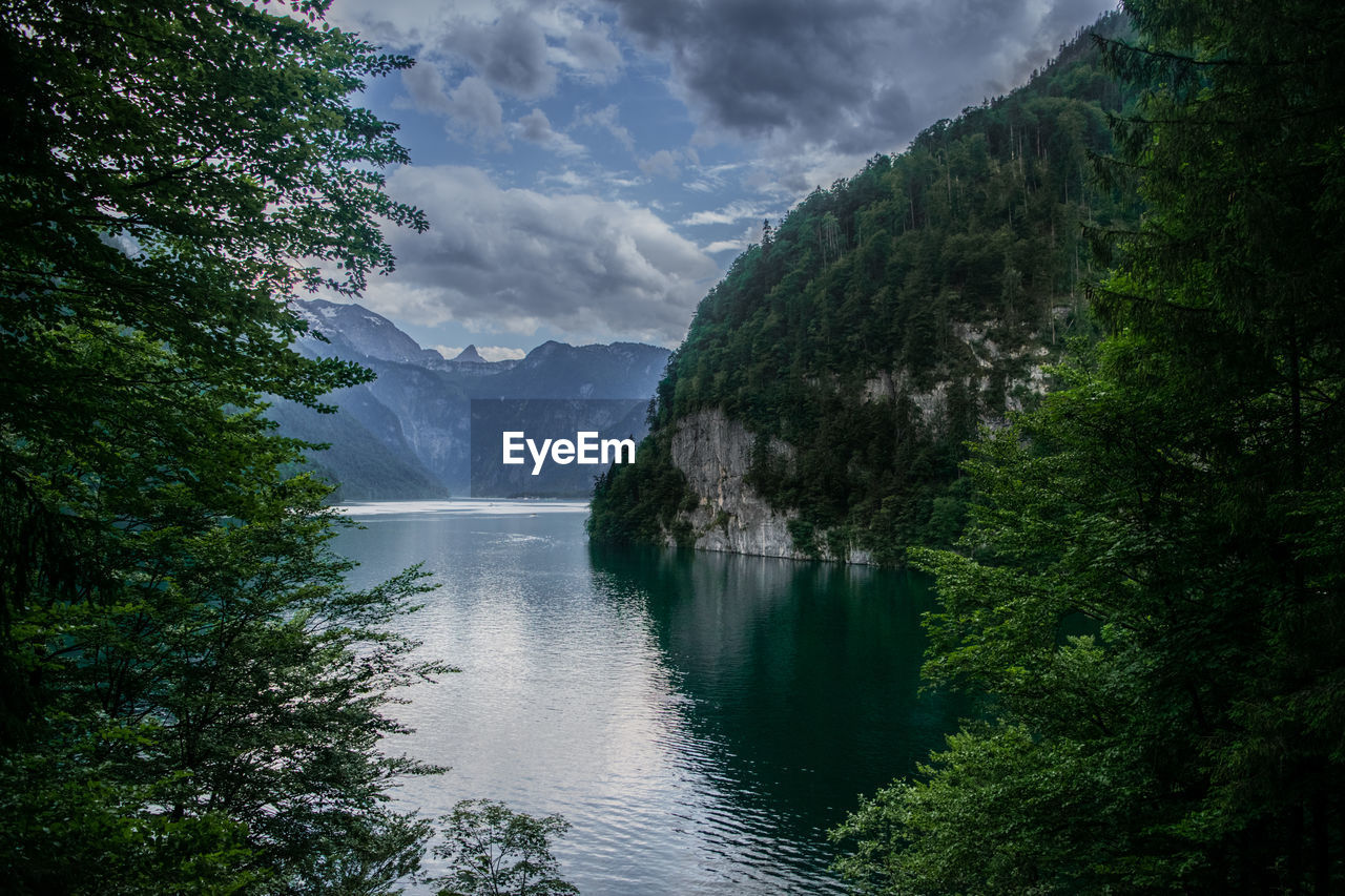 SCENIC VIEW OF LAKE AMIDST TREES AGAINST SKY