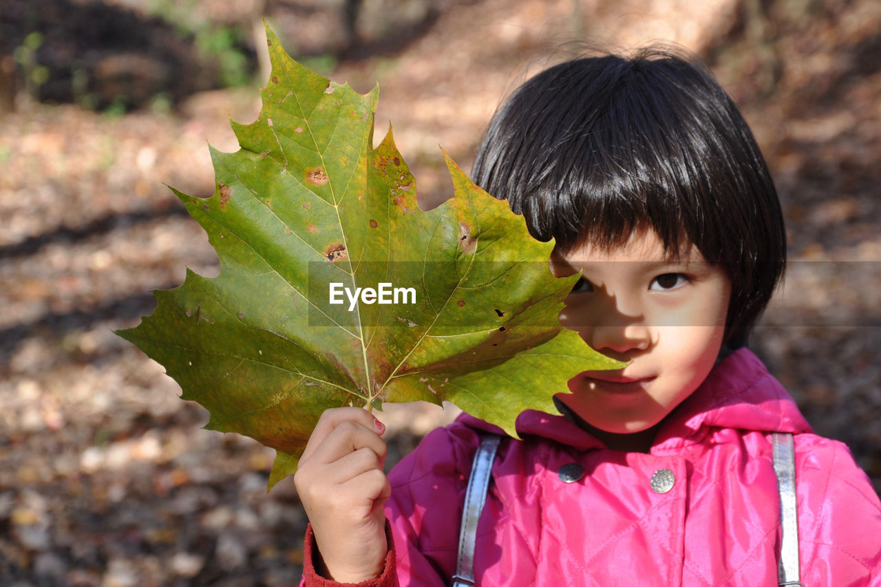 Close-up of girl holding a leaf