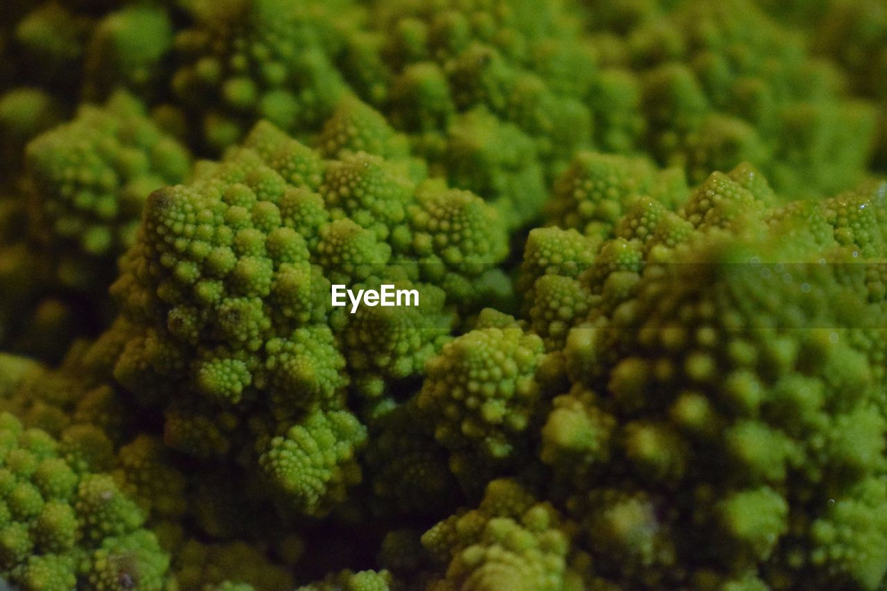 Full frame shot of vegetables