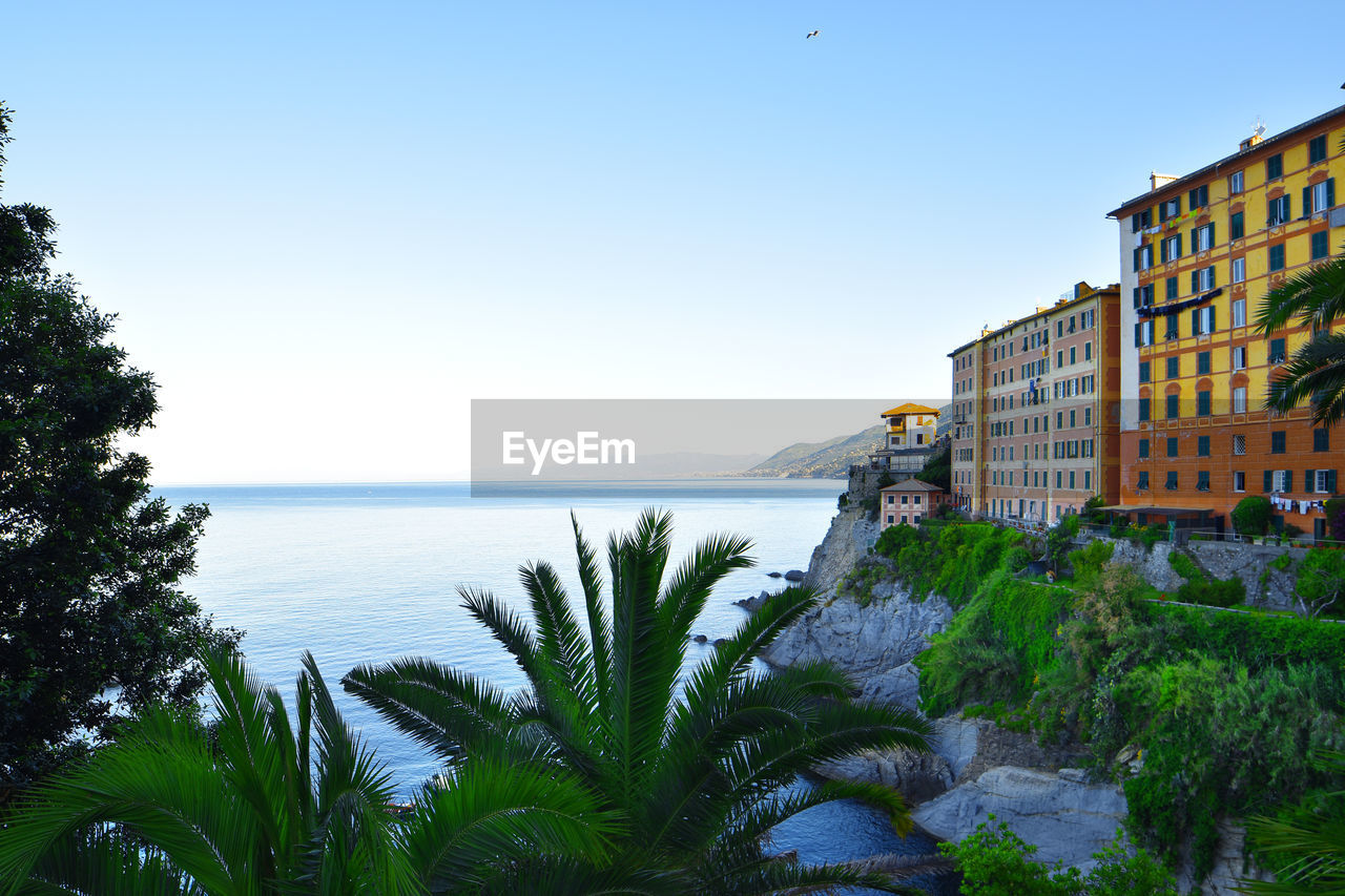 The suggestive colored houses of camogli overlooking the sea in the evening