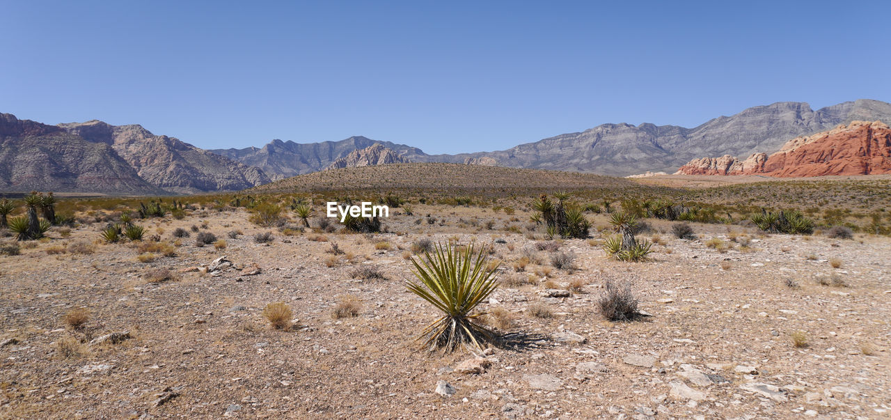 Scenic view of desert against sky