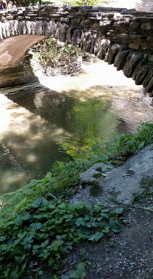 SCENIC VIEW OF WATERFALL