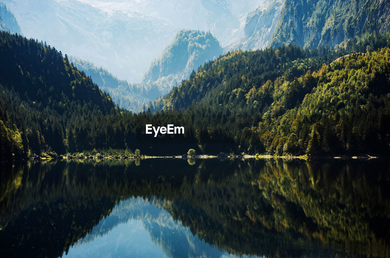 REFLECTION OF TREES IN LAKE AGAINST SKY