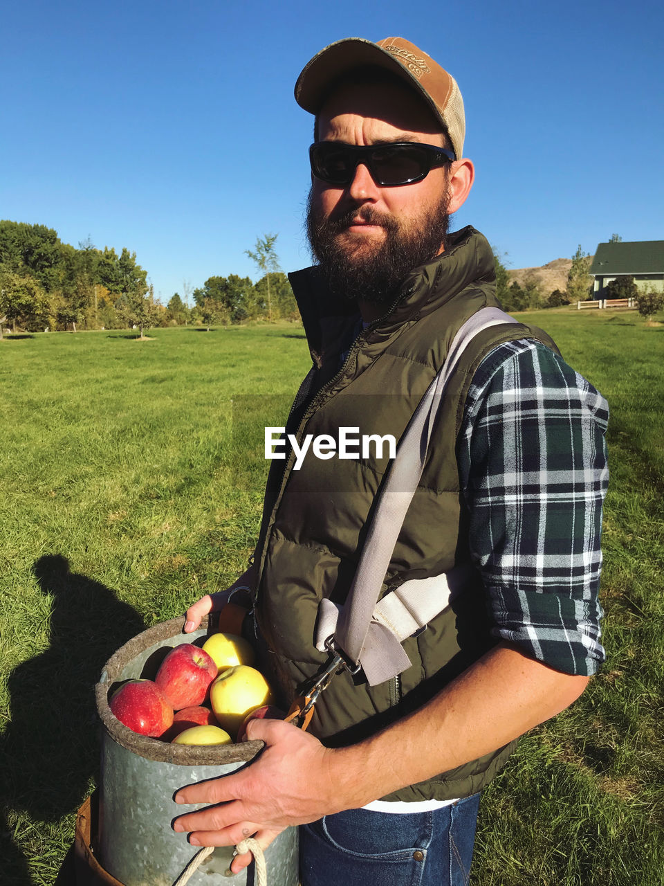 Portrait of bearded man holding fruits while standing in field