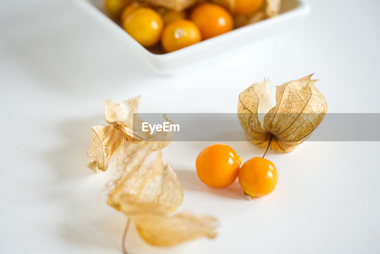 Golden berries,ciplukan,physalis