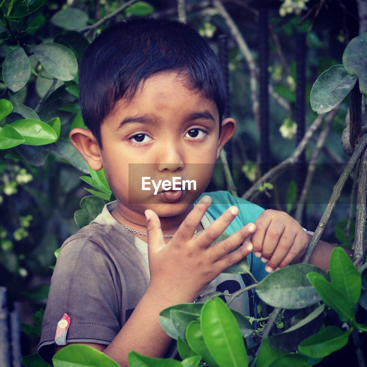 Portrait of cute boy standing by plant