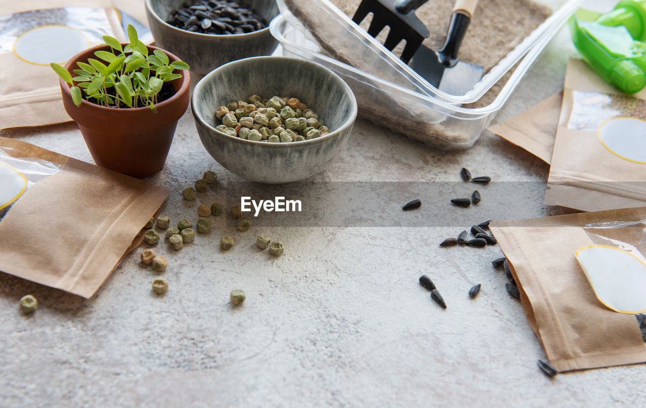 Microgreen seeds in paper bags and microgreen sowing equipment on the table. healthy food.