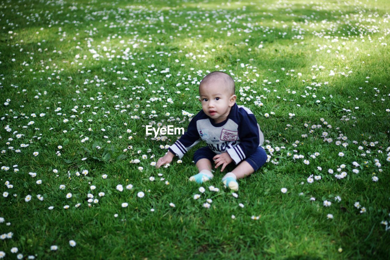 grass, plant, child, childhood, baby, meadow, green, one person, lawn, nature, full length, toddler, innocence, front view, flower, day, men, outdoors, babyhood, cute, high angle view, emotion, casual clothing, growth, field, portrait, happiness, lifestyles, person, leisure activity, flowering plant, smiling, land, sunlight, plain, looking