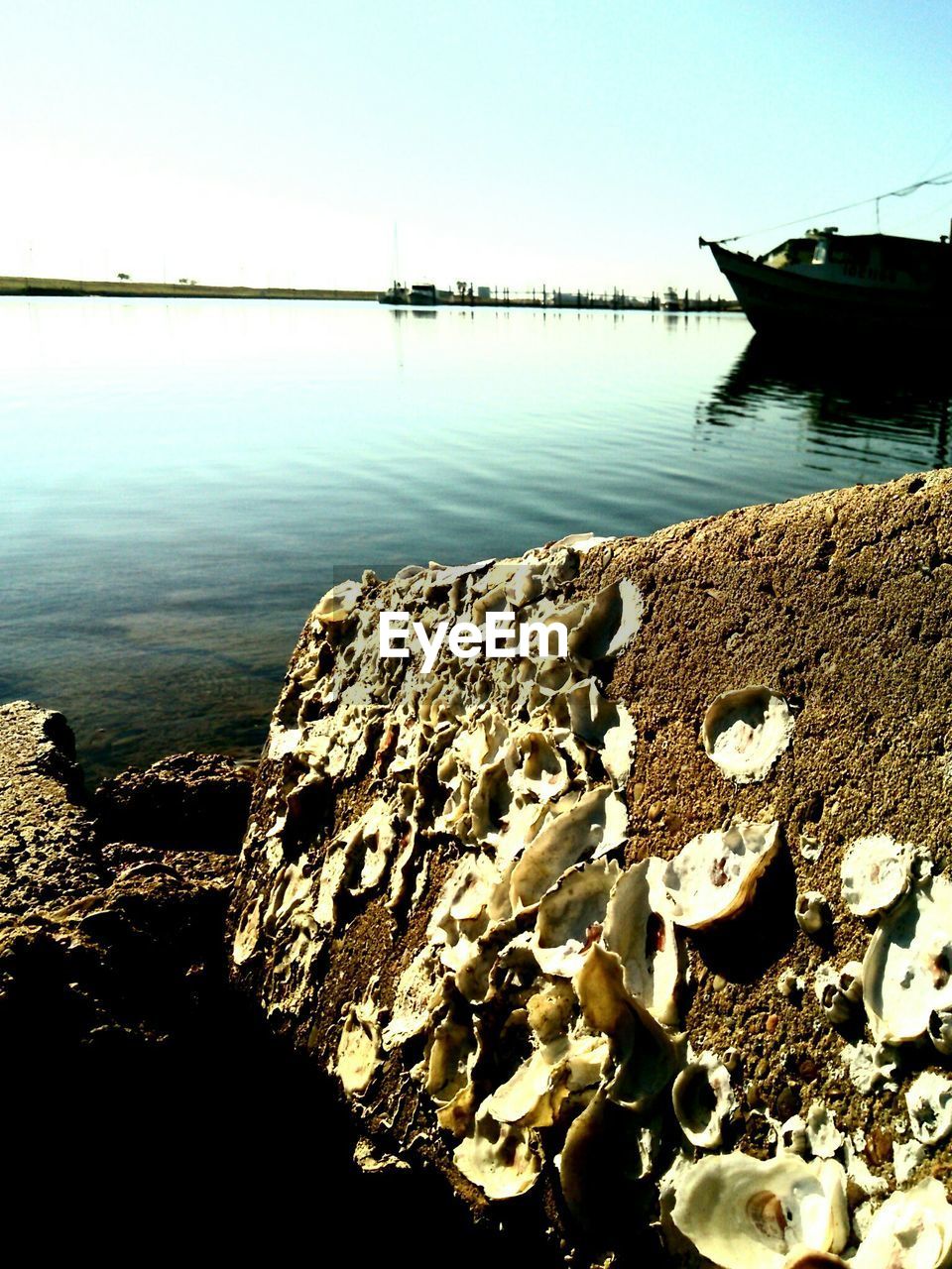 VIEW OF BOATS IN SEA