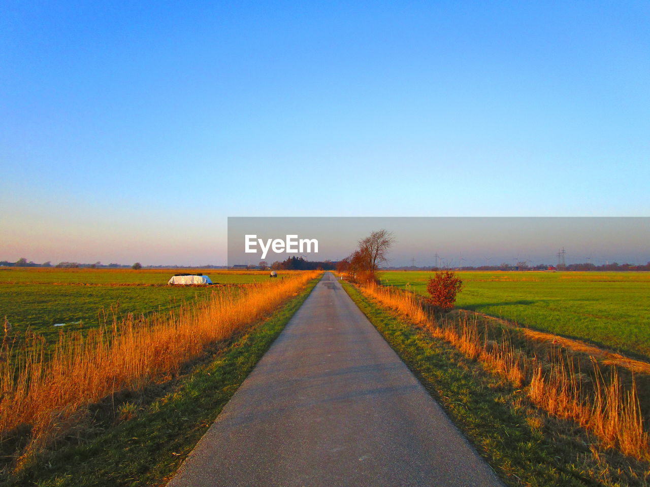 Road passing through agricultural field against clear sky