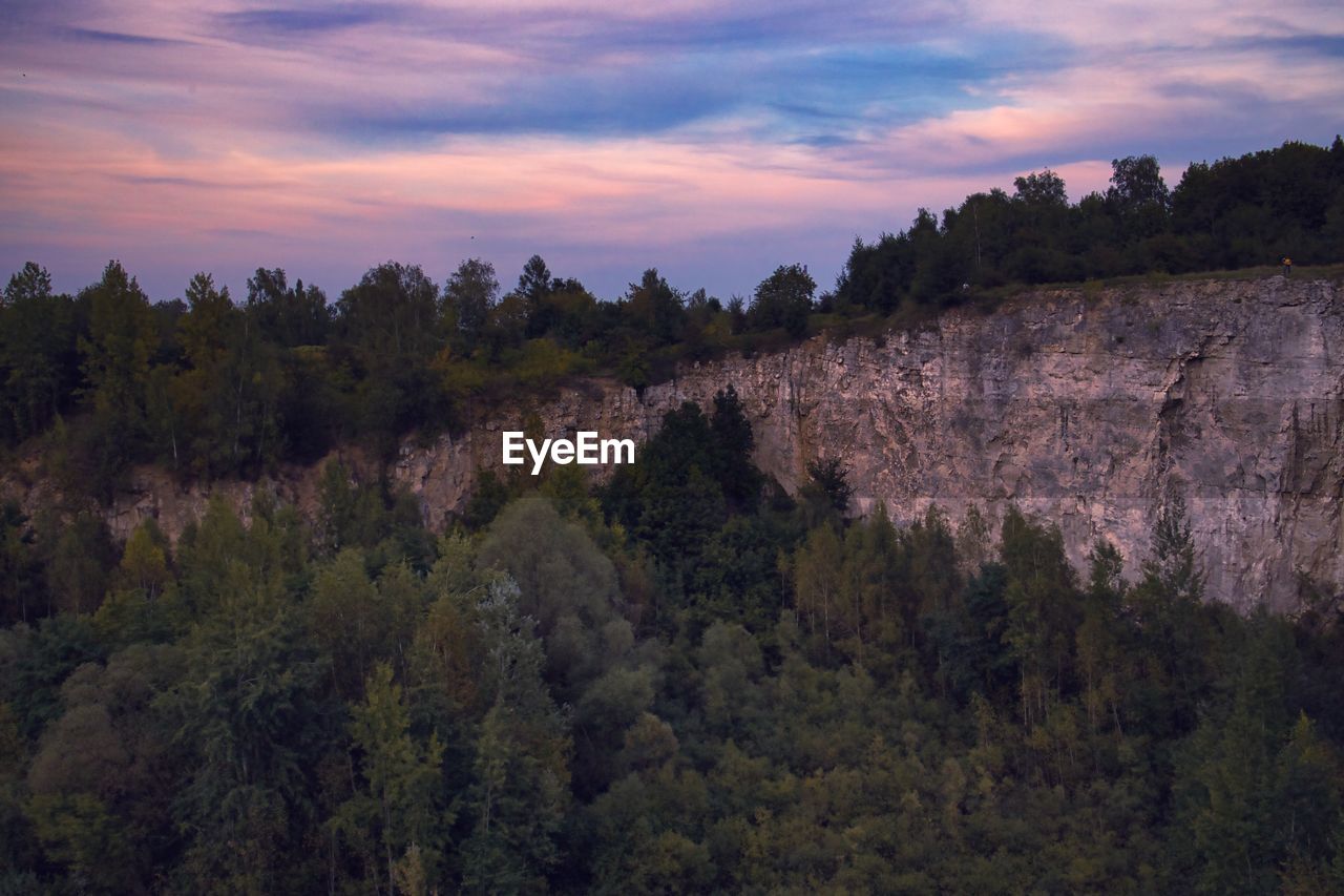 PANORAMIC SHOT OF TREES AGAINST SKY DURING SUNSET