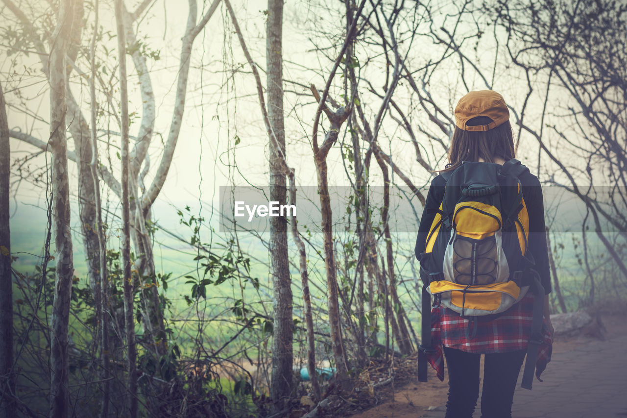 Rear view of woman standing at forest