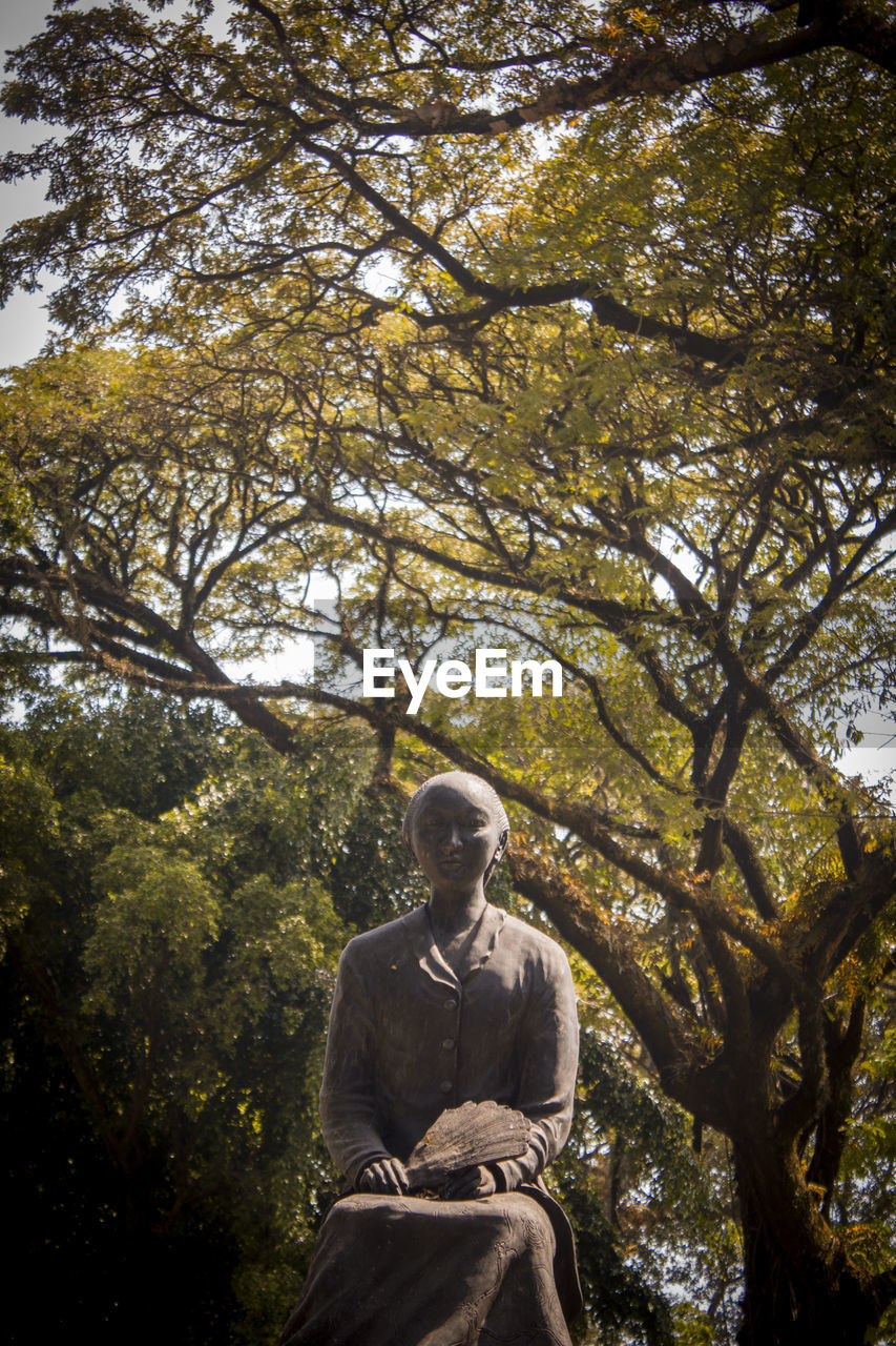 LOW ANGLE VIEW OF A MAN SITTING ON TREE