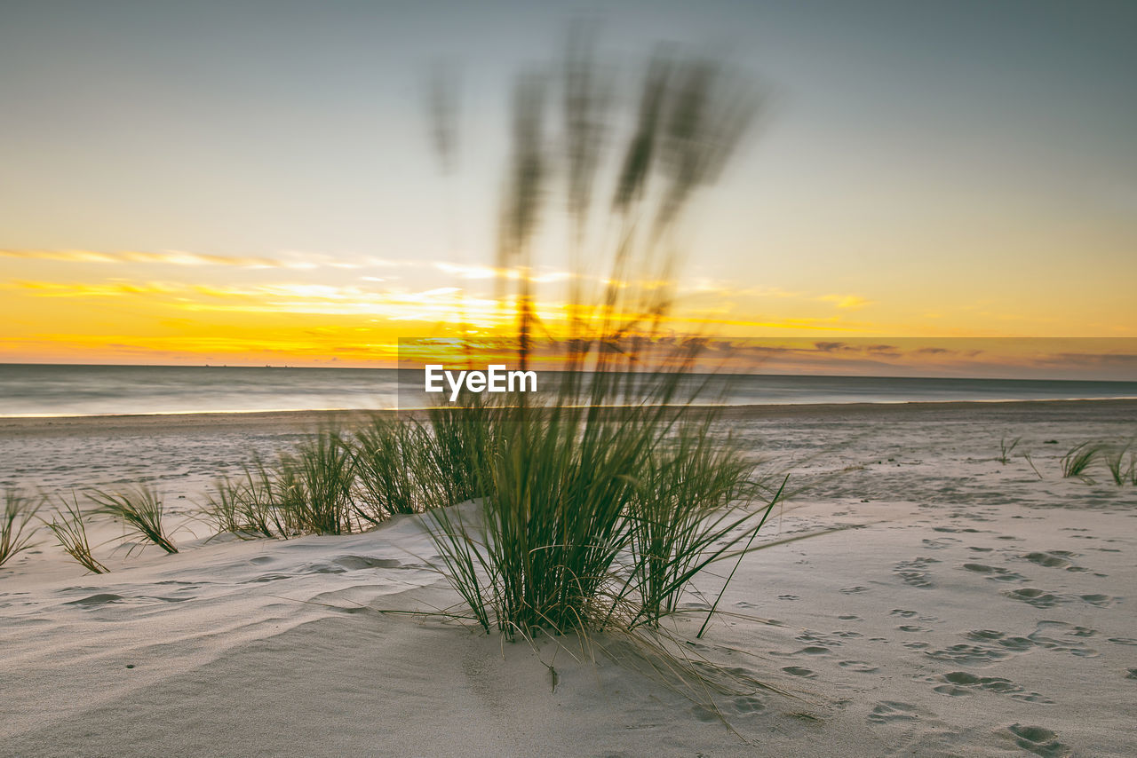 Scenic view of beach against sky during sunset