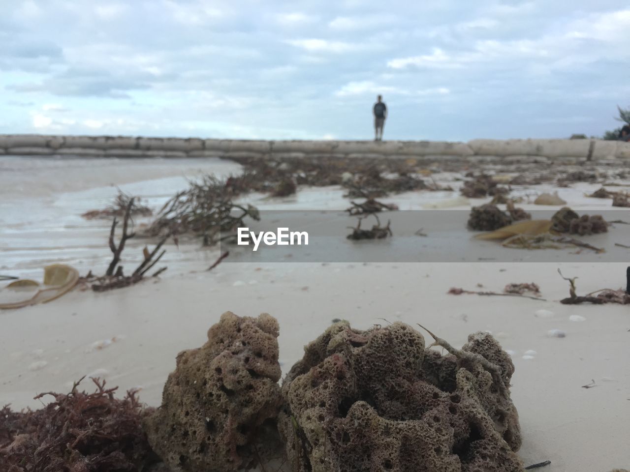 ROCKS ON SHORE AT BEACH AGAINST SKY