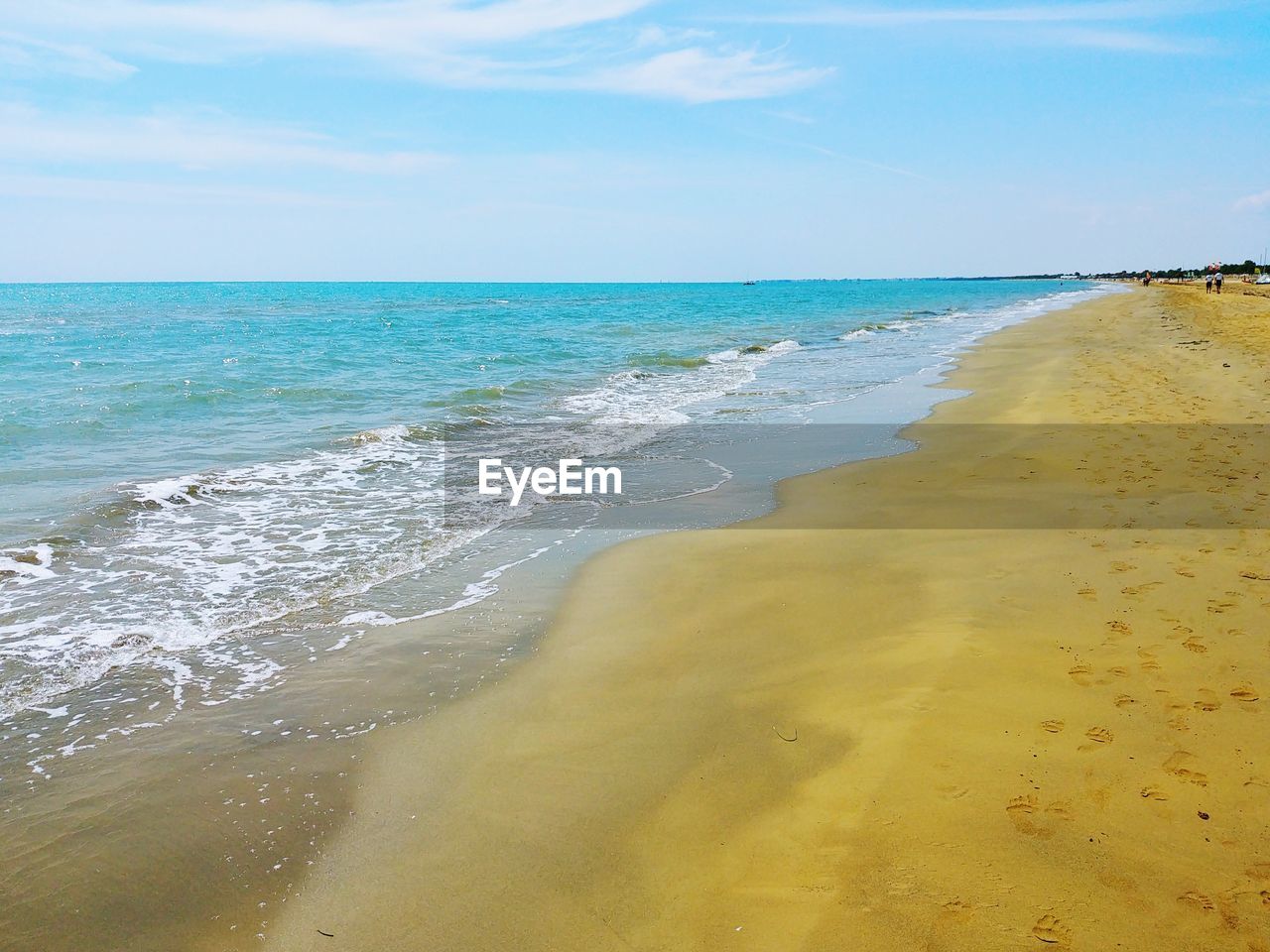 SCENIC VIEW OF BEACH