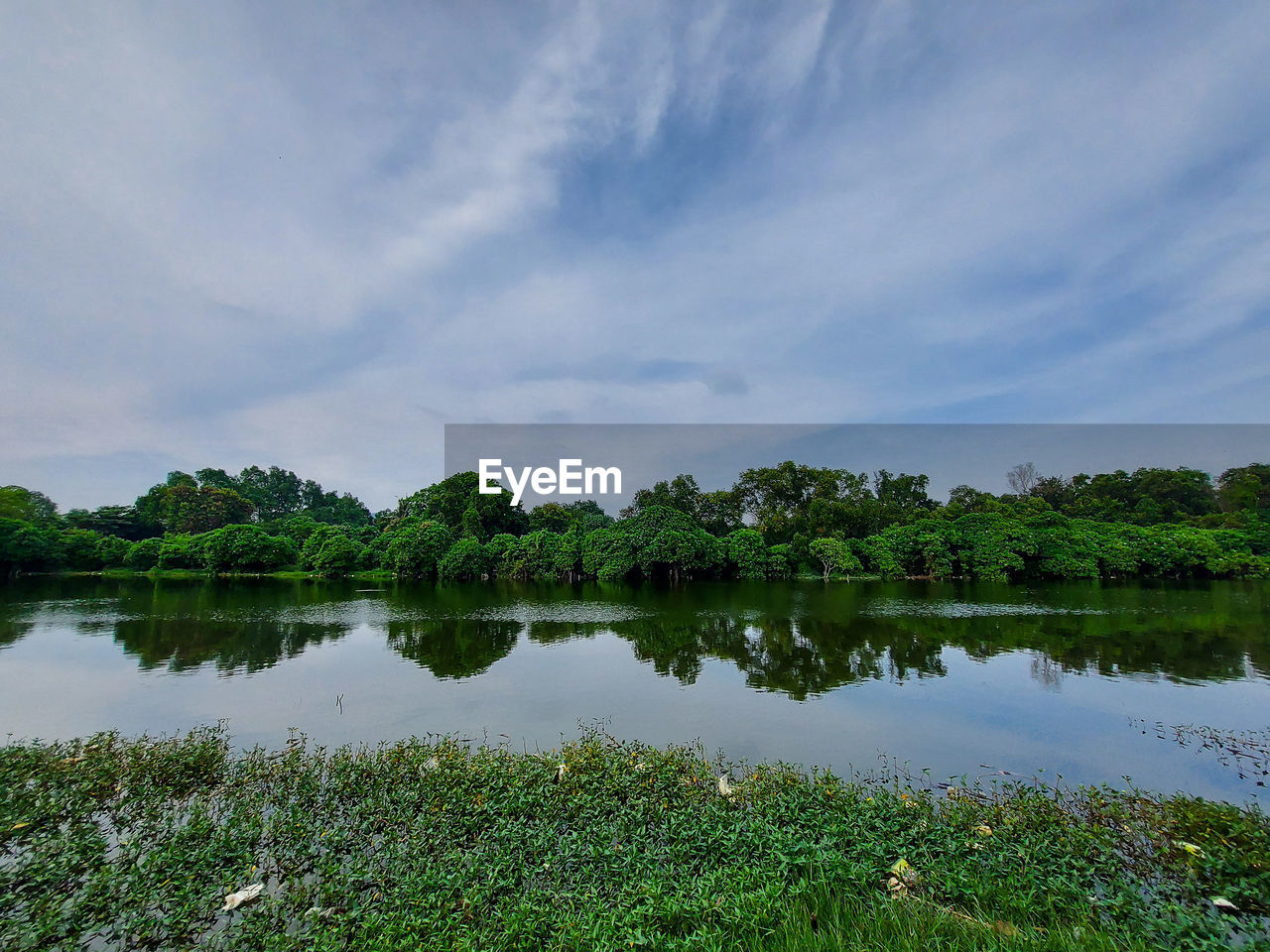 TREES BY LAKE AGAINST SKY