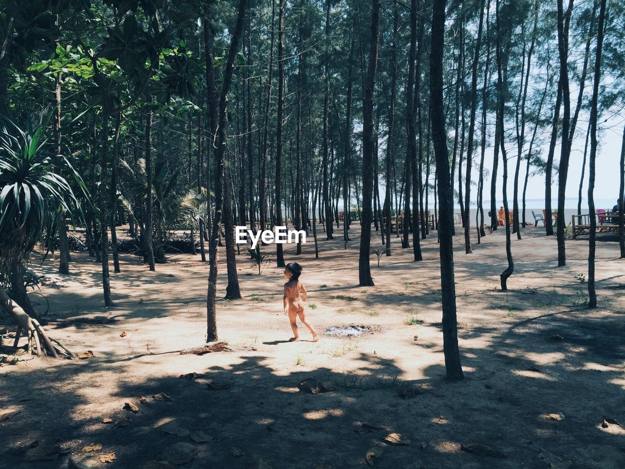 Full length rear view of naked boy standing amidst trees at beach