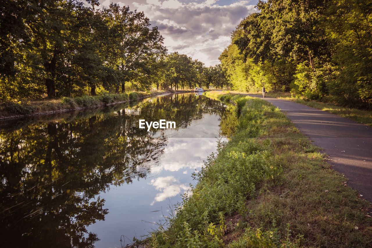 Scenic view of canal in forest against sky